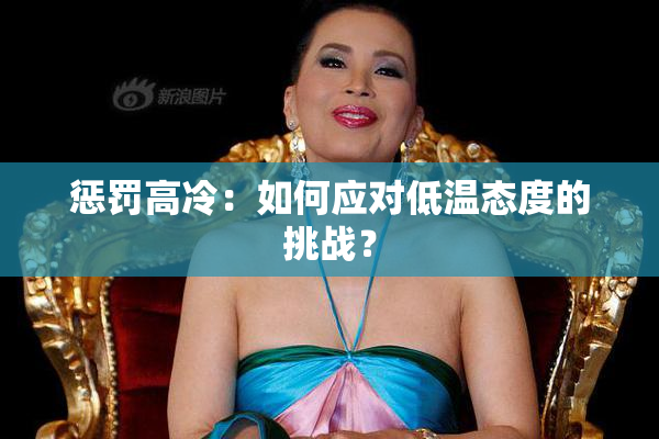 惩罚高冷：如何应对低温态度的挑战？