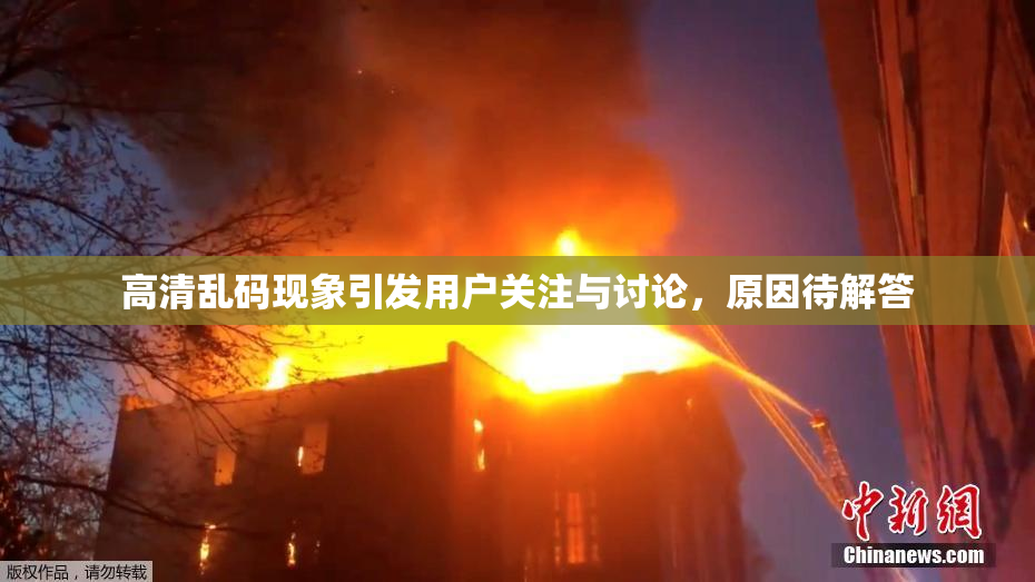 高清乱码现象引发用户关注与讨论，原因待解答
