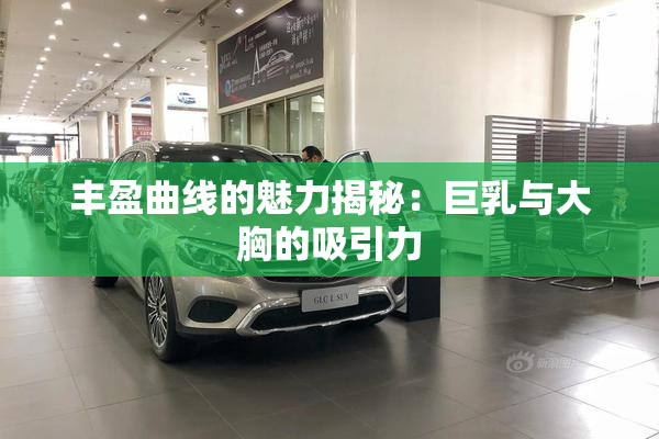 丰盈曲线的魅力揭秘：巨乳与大胸的吸引力