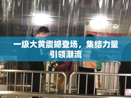 一级大黄震撼登场，集结力量引领潮流