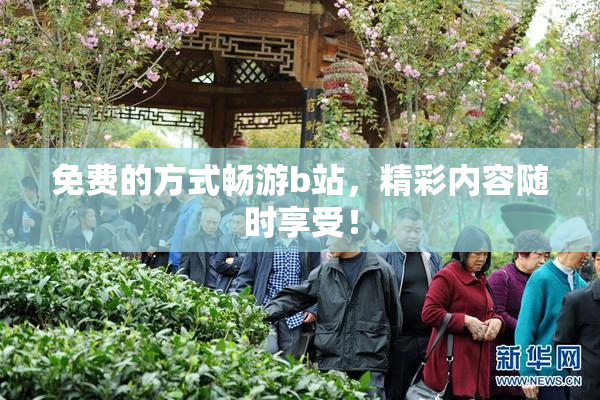 免费的方式畅游b站，精彩内容随时享受！