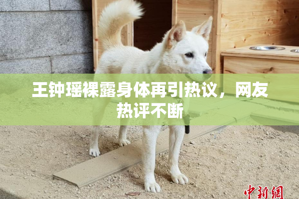 王钟瑶裸露身体再引热议，网友热评不断
