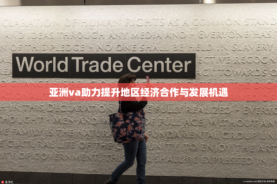 亚洲va助力提升地区经济合作与发展机遇