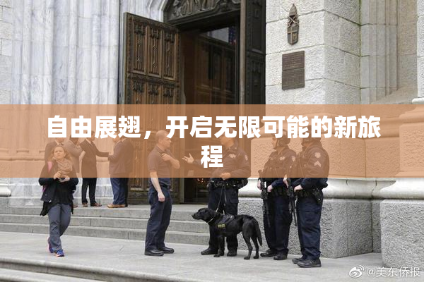 自由展翅，开启无限可能的新旅程