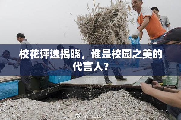 校花评选揭晓，谁是校园之美的代言人？