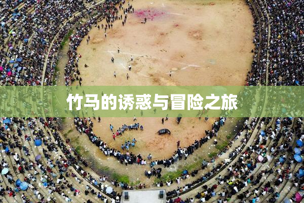 竹马的诱惑与冒险之旅