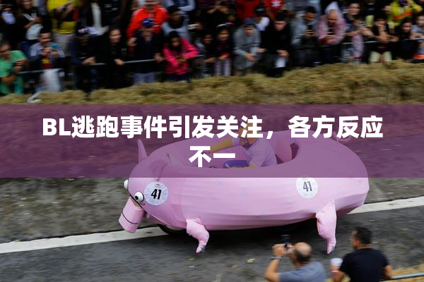 BL逃跑事件引发关注，各方反应不一