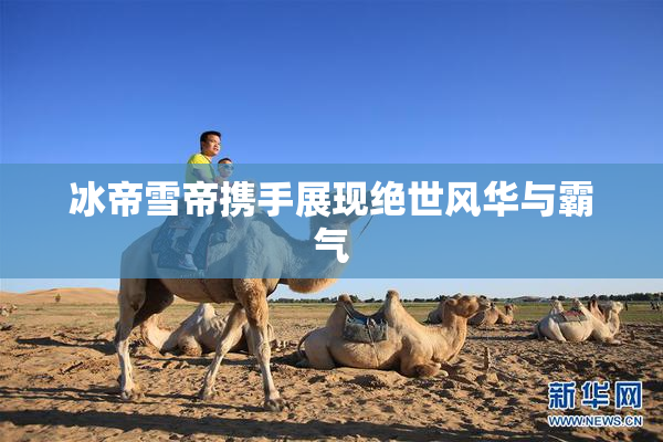 冰帝雪帝携手展现绝世风华与霸气