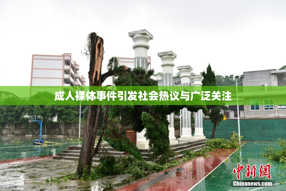 成人裸体事件引发社会热议与广泛关注