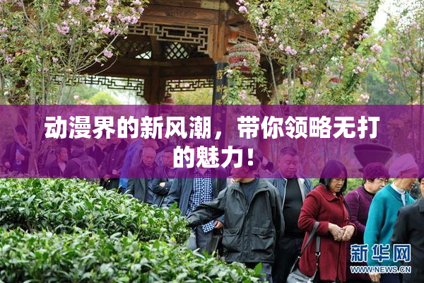 动漫界的新风潮，带你领略无打的魅力！