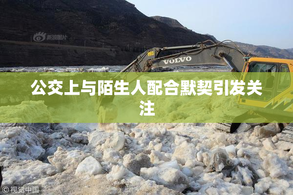 公交上与陌生人配合默契引发关注