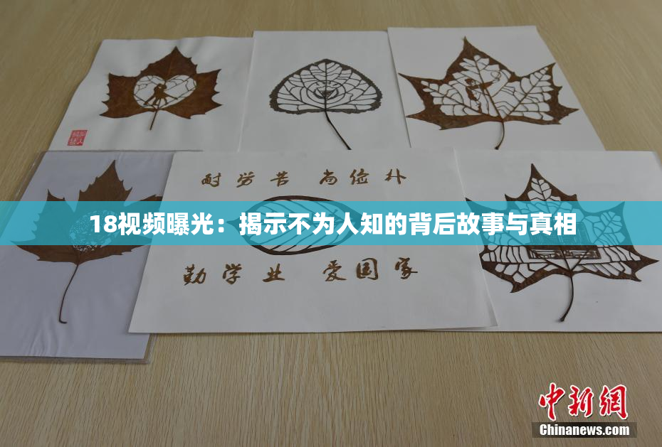 18视频曝光：揭示不为人知的背后故事与真相