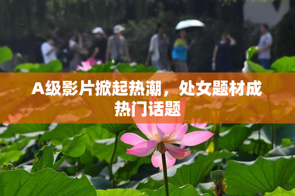 A级影片掀起热潮，处女题材成热门话题