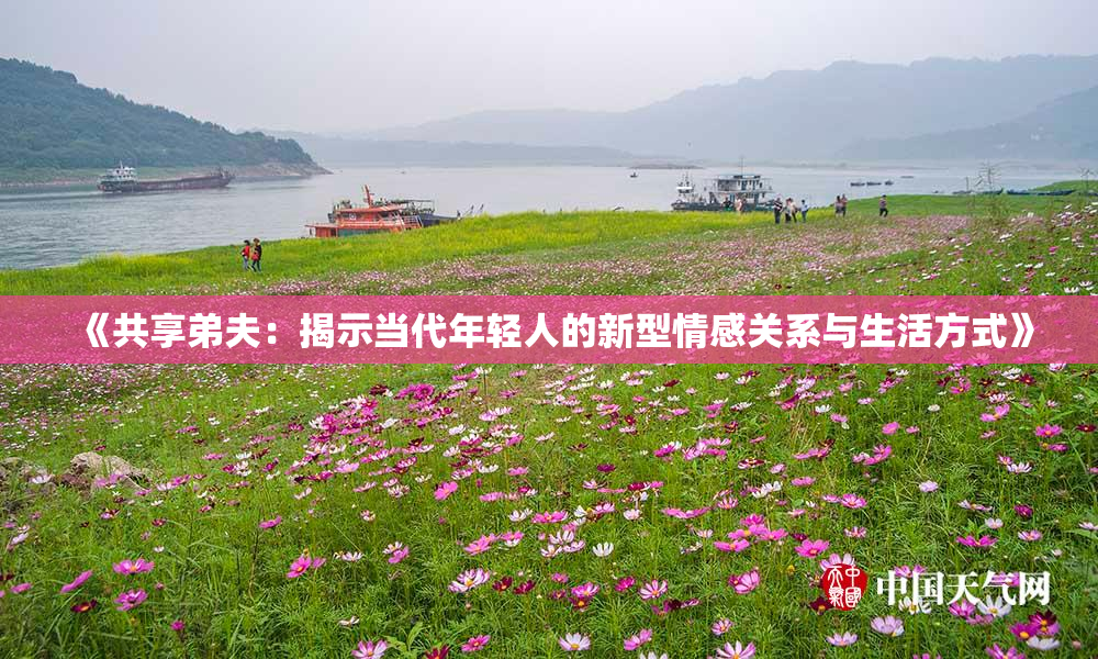 《共享弟夫：揭示当代年轻人的新型情感关系与生活方式》