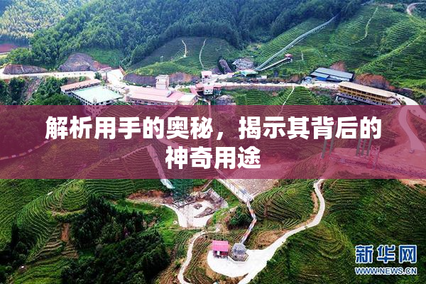 解析用手的奥秘，揭示其背后的神奇用途
