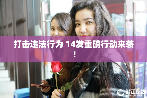 打击违法行为 14发重磅行动来袭！