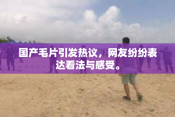 国产毛片引发热议，网友纷纷表达看法与感受。