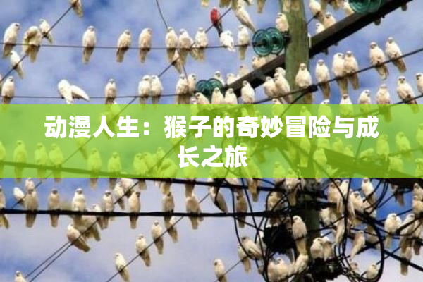 动漫人生：猴子的奇妙冒险与成长之旅