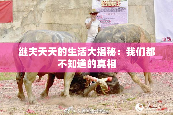 继夫天天的生活大揭秘：我们都不知道的真相