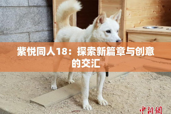 紫悦同人18：探索新篇章与创意的交汇