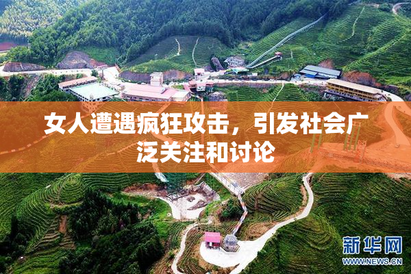 女人遭遇疯狂攻击，引发社会广泛关注和讨论