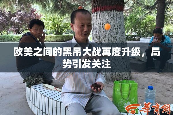 欧美之间的黑吊大战再度升级，局势引发关注