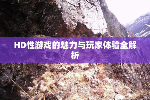 HD性游戏的魅力与玩家体验全解析