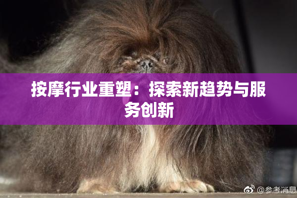 按摩行业重塑：探索新趋势与服务创新