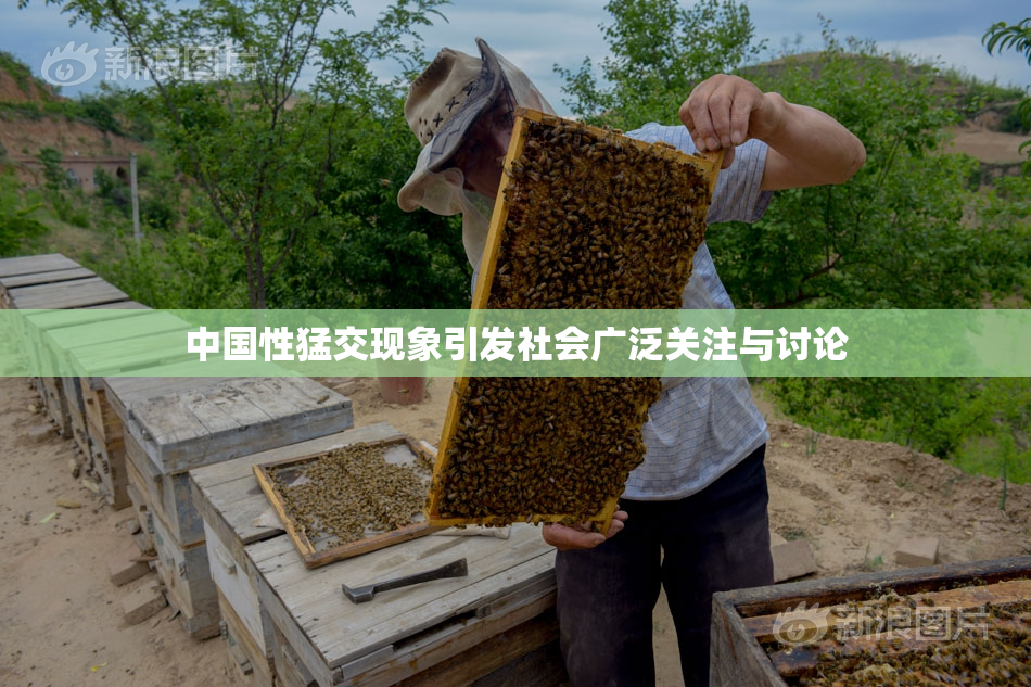 中国性猛交现象引发社会广泛关注与讨论