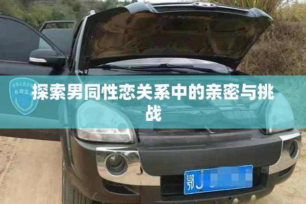 探索男同性恋关系中的亲密与挑战