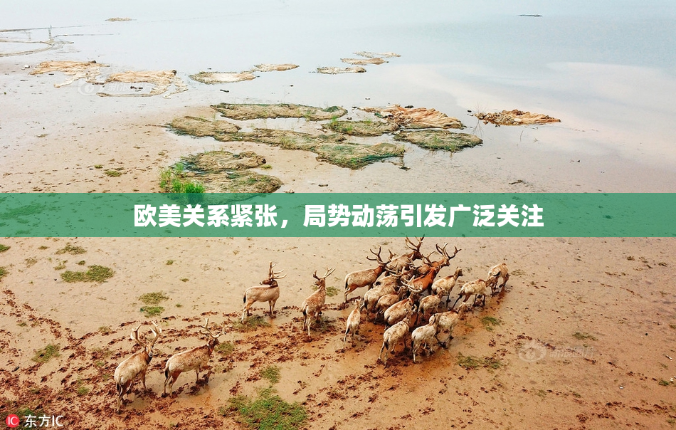 欧美关系紧张，局势动荡引发广泛关注