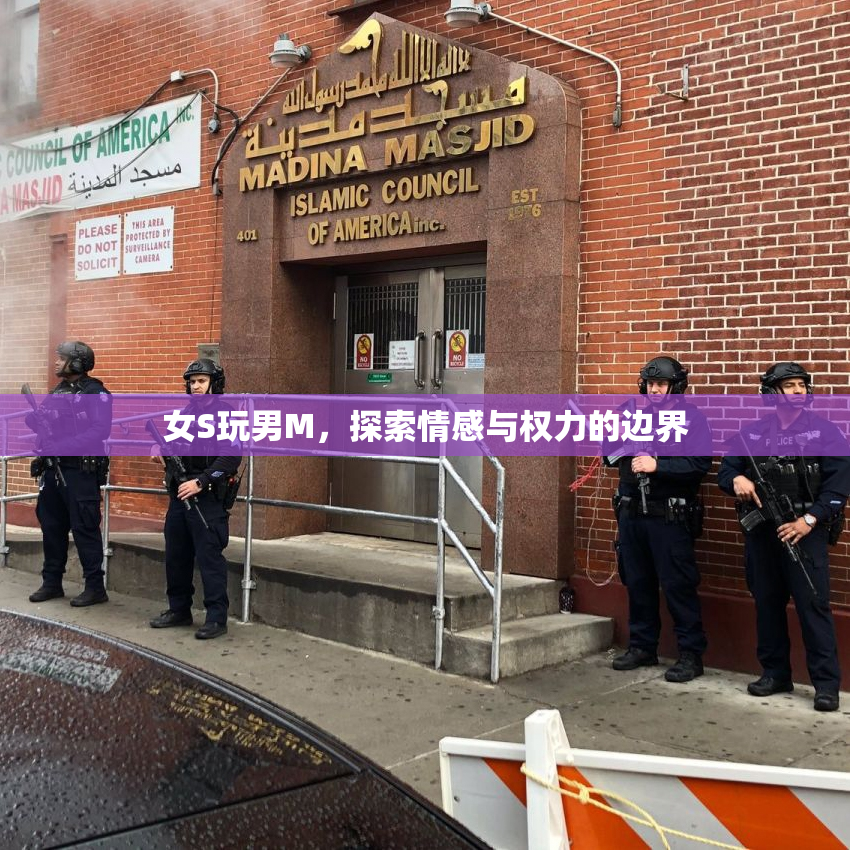女S玩男M，探索情感与权力的边界