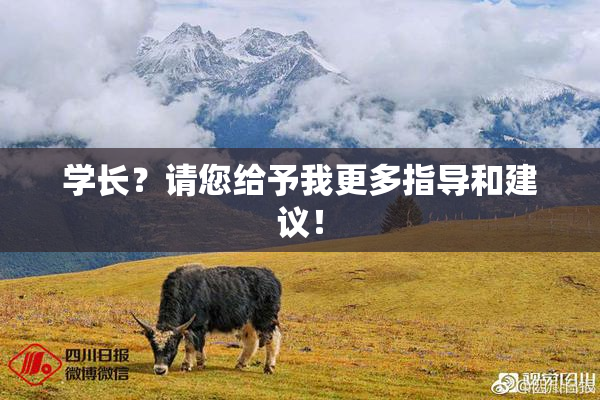 学长？请您给予我更多指导和建议！