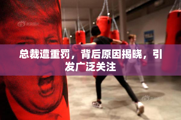 总裁遭重罚，背后原因揭晓，引发广泛关注
