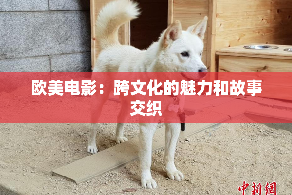 欧美电影：跨文化的魅力和故事交织