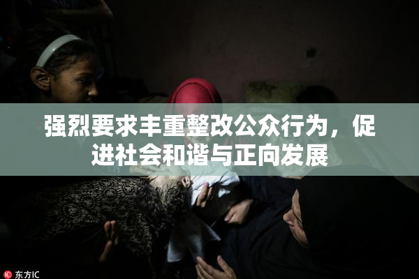强烈要求丰重整改公众行为，促进社会和谐与正向发展