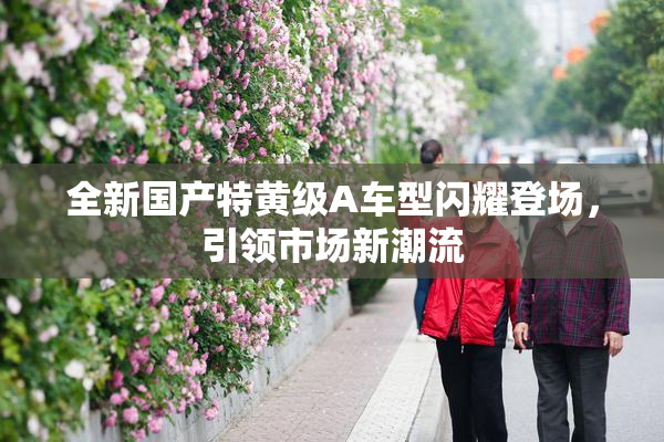 全新国产特黄级A车型闪耀登场，引领市场新潮流