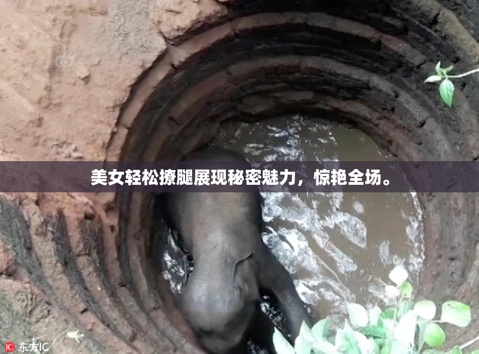 美女轻松撩腿展现秘密魅力，惊艳全场。