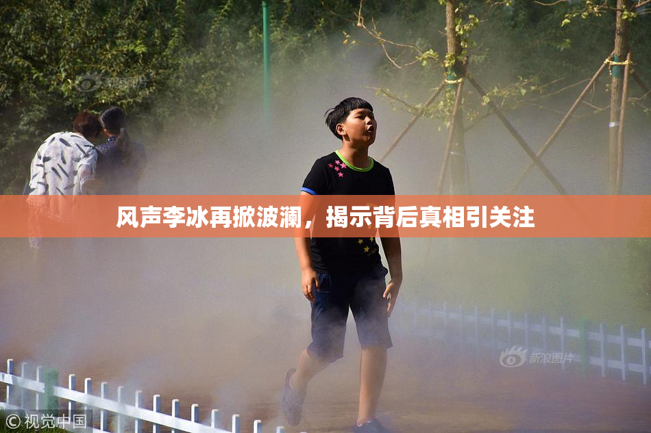 风声李冰再掀波澜，揭示背后真相引关注