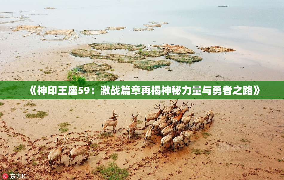 《神印王座59：激战篇章再揭神秘力量与勇者之路》