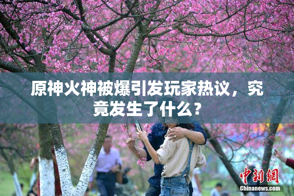 原神火神被爆引发玩家热议，究竟发生了什么？