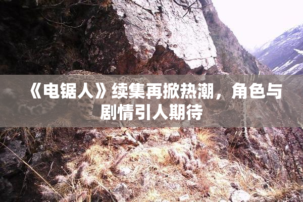 《电锯人》续集再掀热潮，角色与剧情引人期待