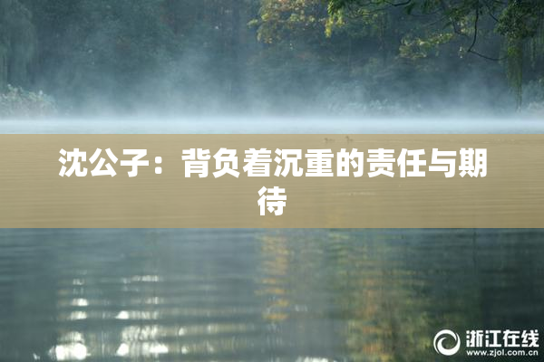 沈公子：背负着沉重的责任与期待