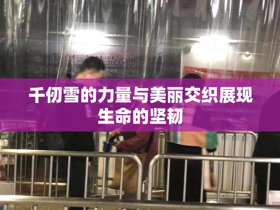 千仞雪的力量与美丽交织展现生命的坚韧