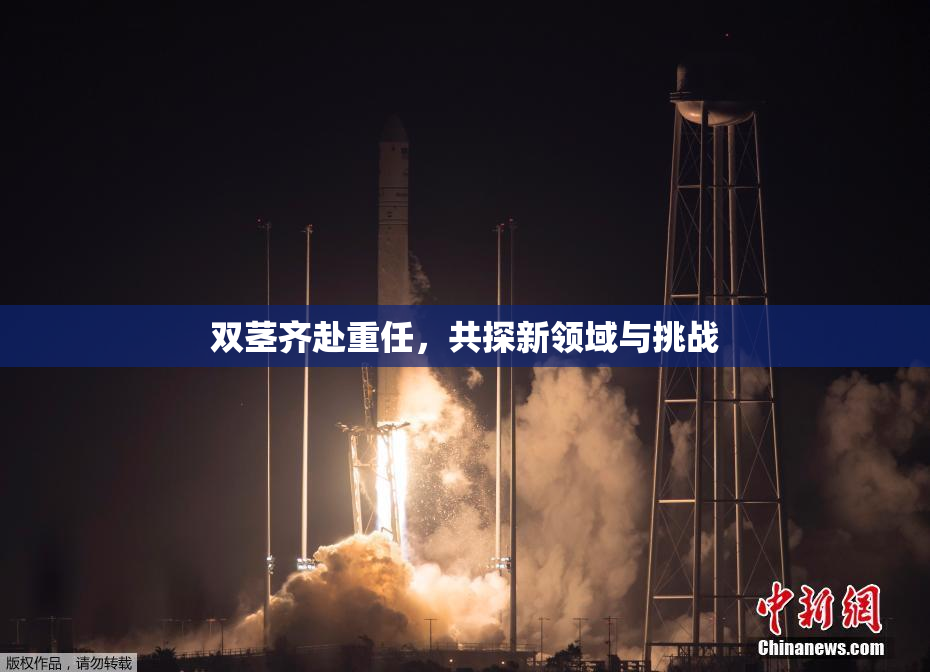 双茎齐赴重任，共探新领域与挑战