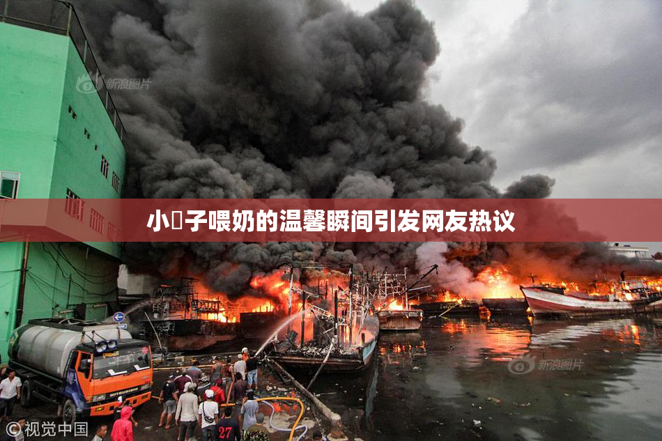 小峓子喂奶的温馨瞬间引发网友热议