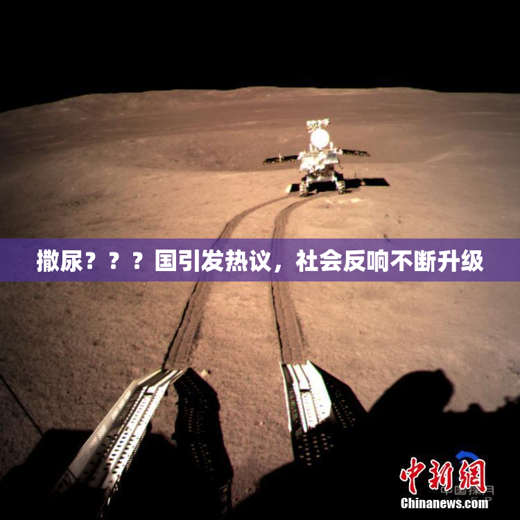 撒尿？？？国引发热议，社会反响不断升级
