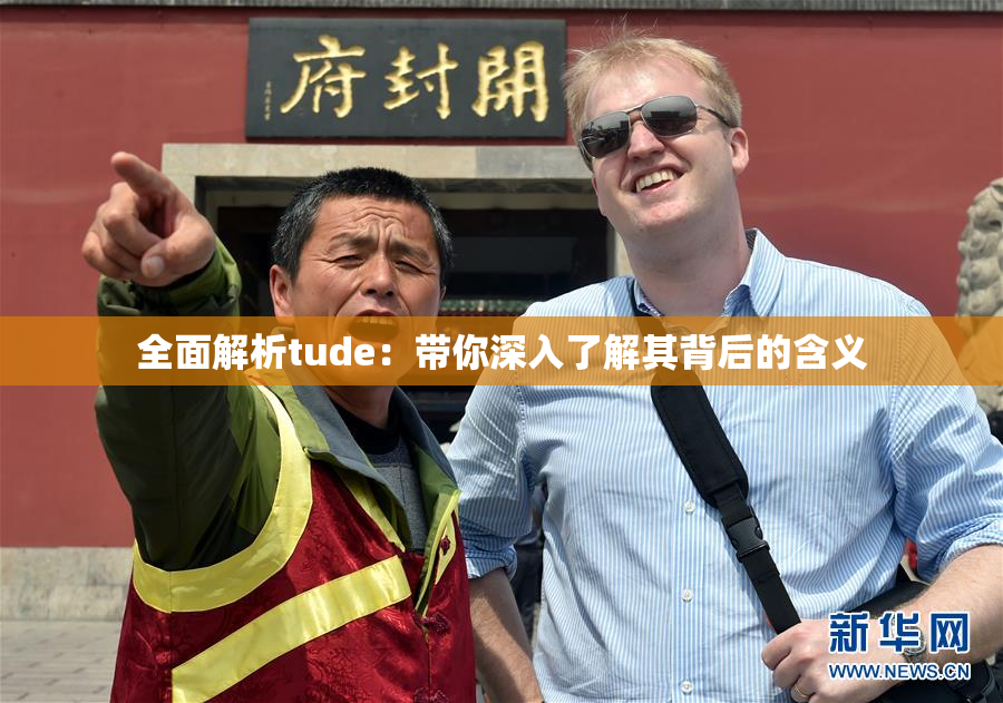 全面解析tude：带你深入了解其背后的含义