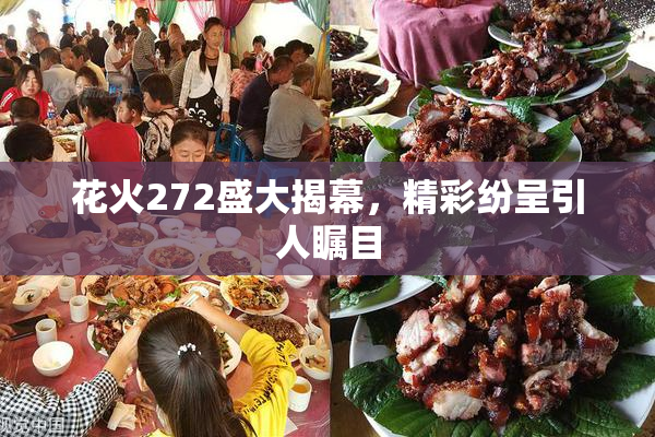 花火272盛大揭幕，精彩纷呈引人瞩目