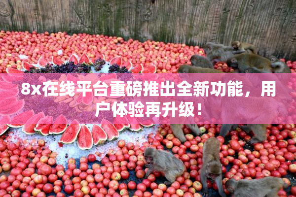 8x在线平台重磅推出全新功能，用户体验再升级！